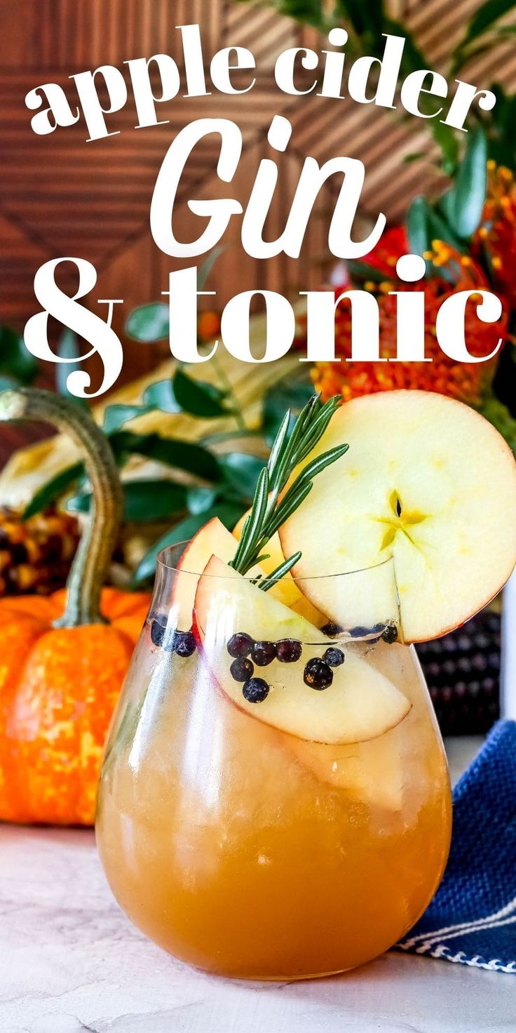 Gin Cider Cocktail, Apple Cider Gin And Tonic, Gin And Apple Cider, Gin Apple Cider Cocktail, Fall Gin And Tonic Recipe, Fall Gin And Tonic, Autumn Gin Cocktail, Apple Gin Cocktail, Best Gin Drinks