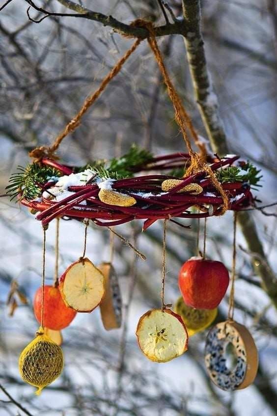 an apple slice mobile hanging from a tree in the snow with pine cones and other fruit slices attached to it