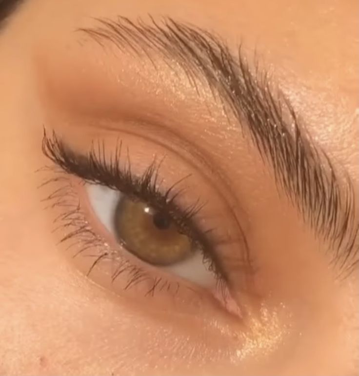 Simple Eyeshadow Looks, Natural Eyeliner, Light Makeup Looks, Soft Makeup Looks, Natural Eyeshadow, Makeup Eye Looks, Brown Eyeshadow, Soft Makeup, No Eyeliner Makeup