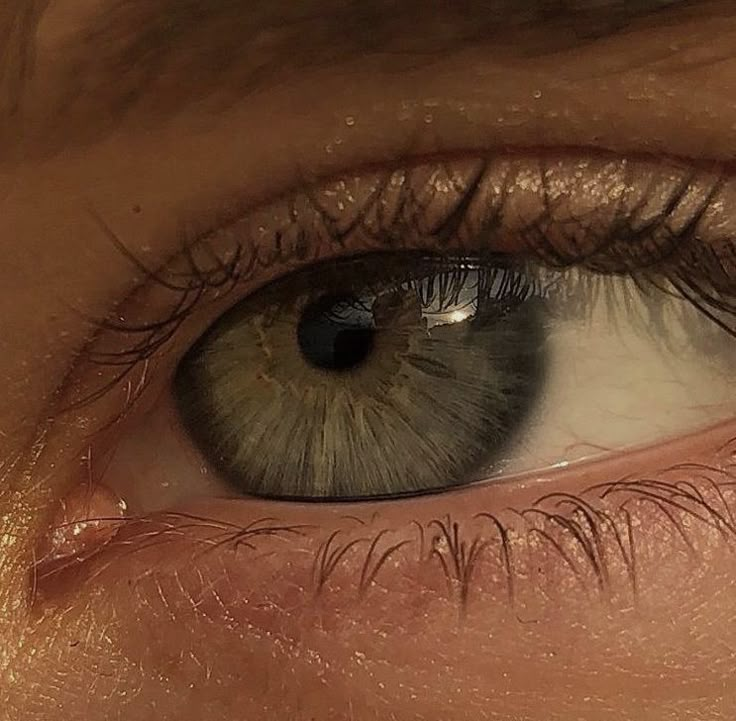 a close up view of an eye with blue eyes