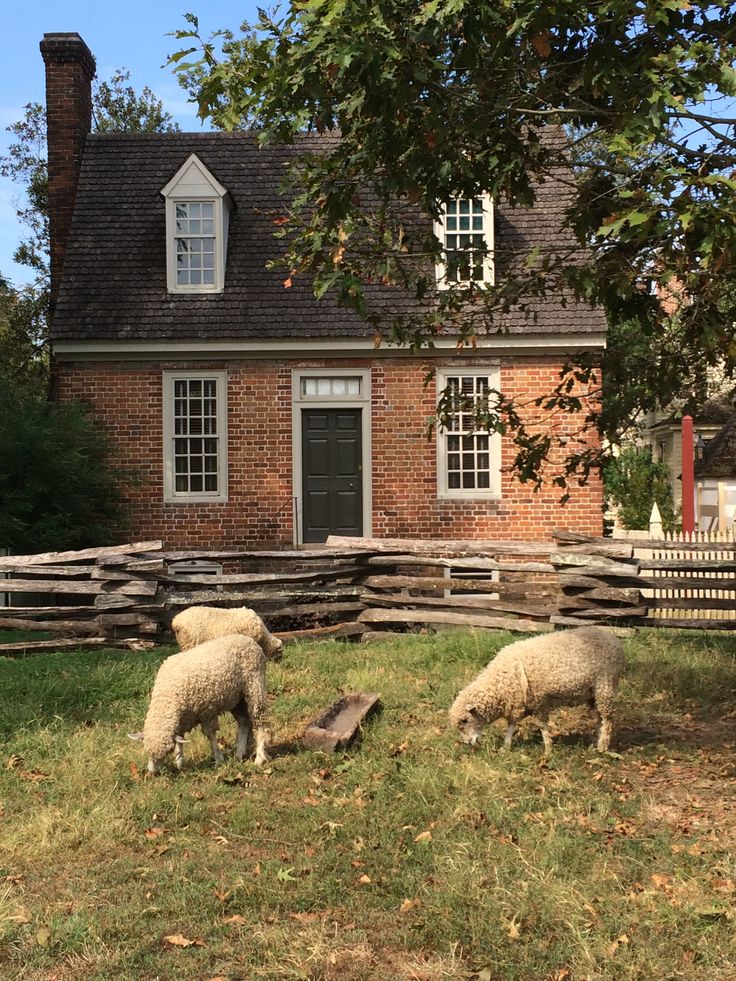 two sheep graze in front of a brick house with a wooden fence around it