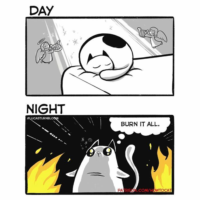 a comic strip with an image of a cat sleeping