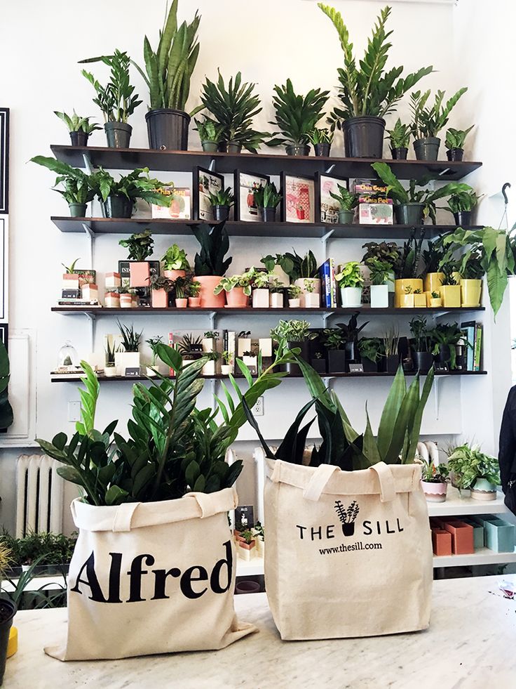 two canvas bags sitting on top of a counter filled with plants and potted plants