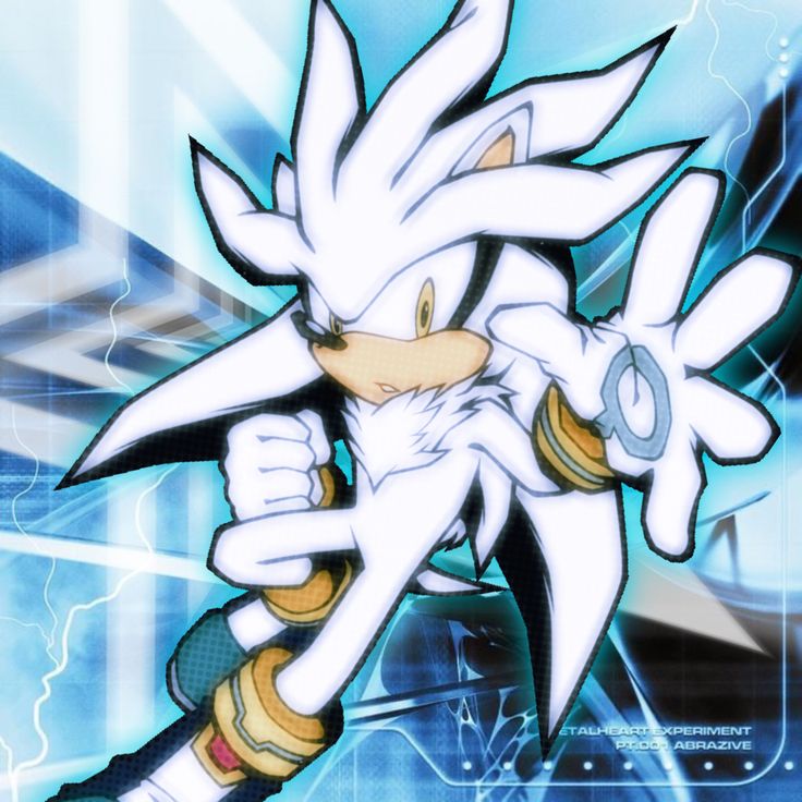 an image of a sonic the hedge character