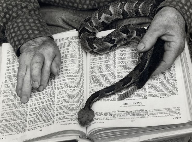 a person holding a snake over an open book