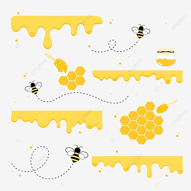 bees and honeycombs on white background, cartoon, illustration png and psd