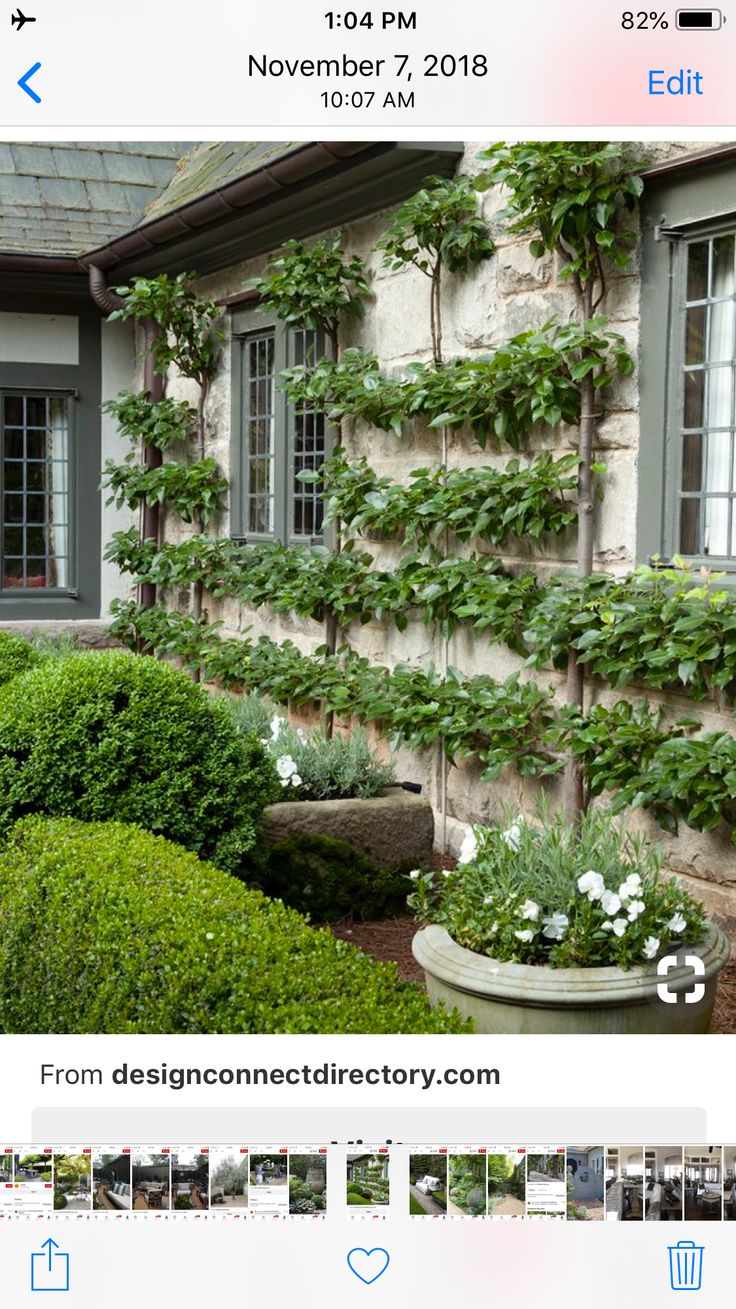 a stone building with ivy growing on it's side and two potted plants in the foreground