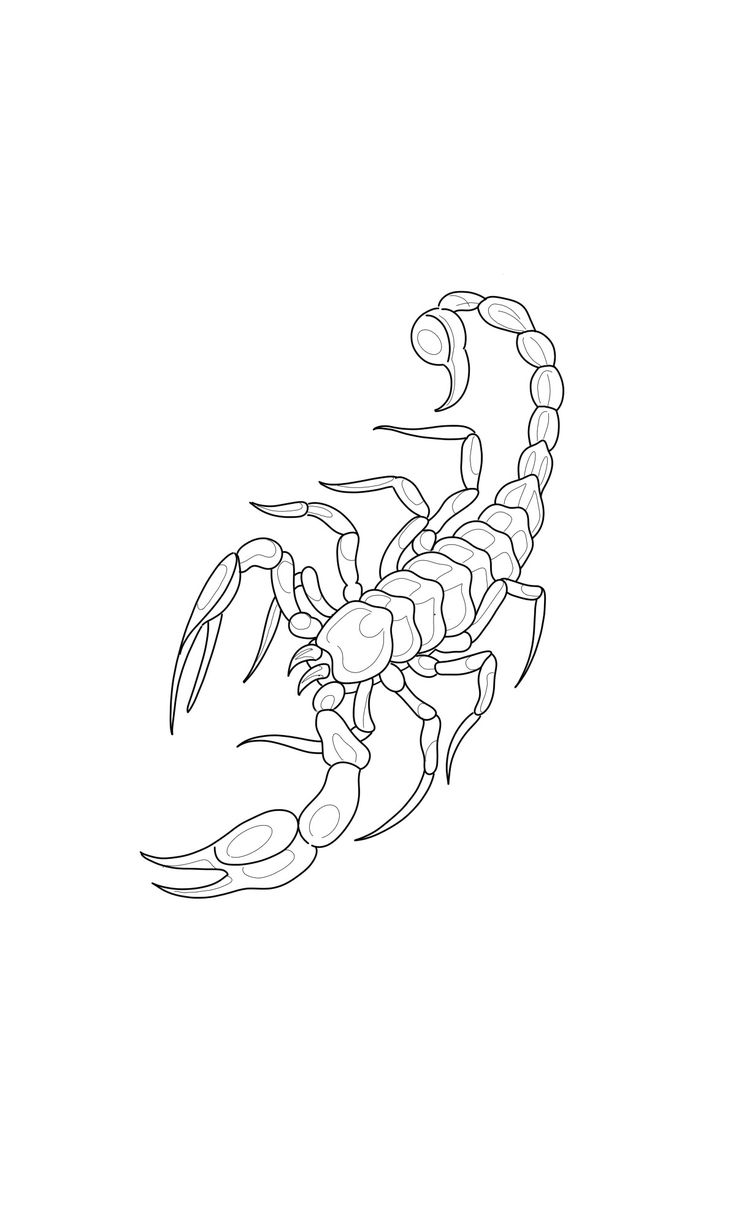 a black and white drawing of a scorpion with the letter c in it's claws