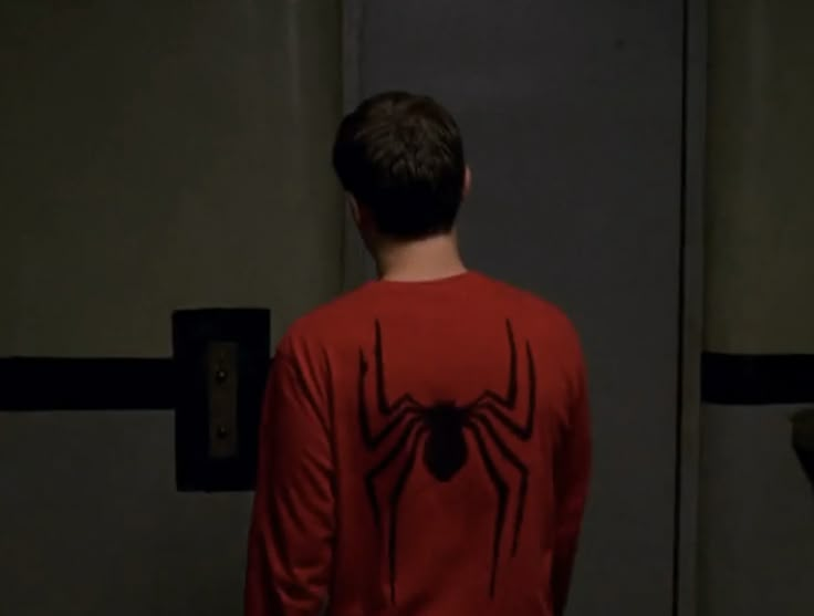 a man standing in front of a mirror wearing a red shirt with a spider on it