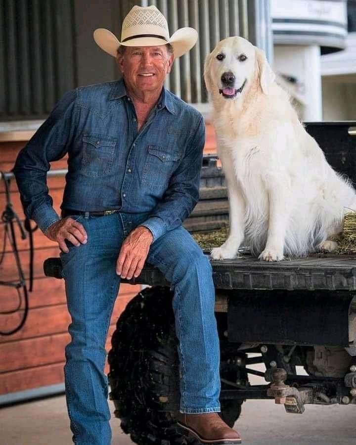 a man sitting next to a white dog wearing a cowboy hat