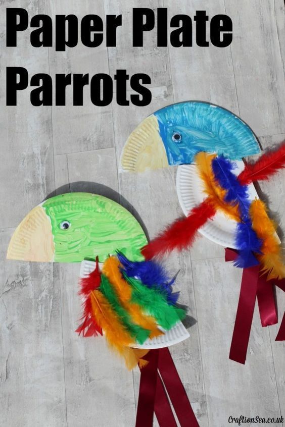 paper plate parrots made out of construction paper plates and colored feathers are on top of each other