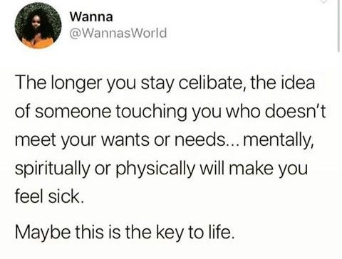 Celibate Aesthetic, Celibate Quotes Funny, Celibate Quote, Celibacy Journey, Celibacy Quotes, Brain Juice, Divine Union, Life Notes, Feminine Spirituality