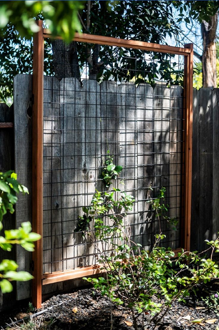 a wooden gate with metal mesh covering it in the middle of some bushes and trees