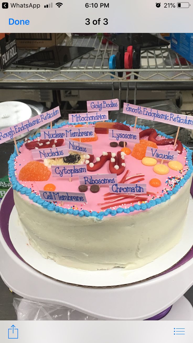 a birthday cake with name tags on it sitting on top of a table in a store