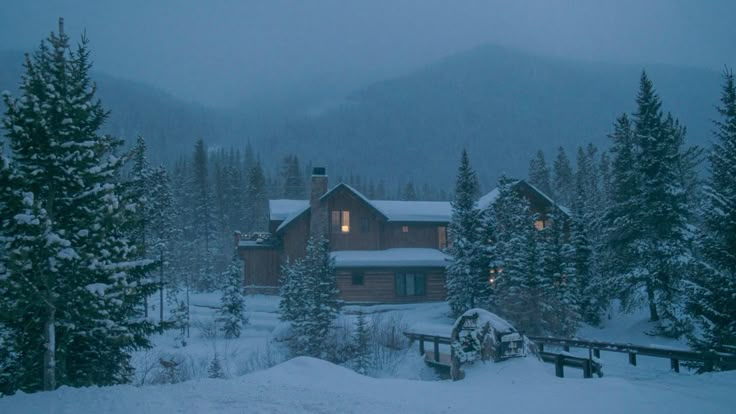 a cabin in the woods with snow on the ground and trees around it, at night