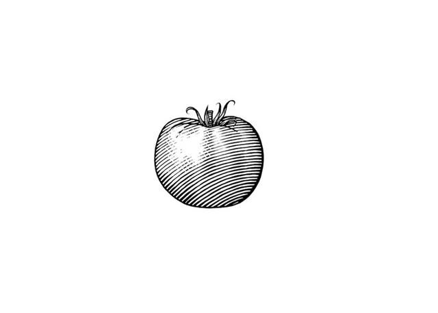 an apple is shown in black and white