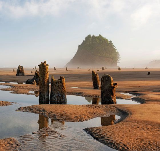 there are many rocks in the water on this beach