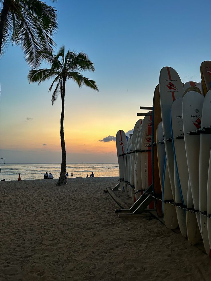 several surfboards are lined up on the beach as the sun sets in the background