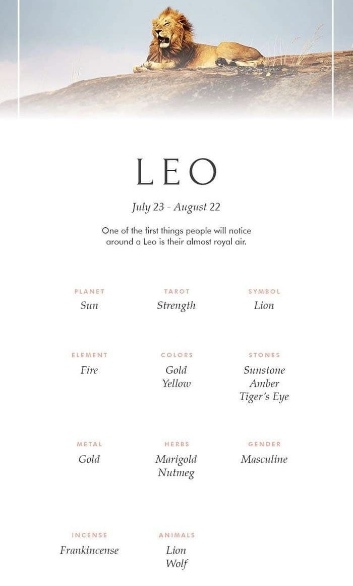 the leo zodiac sign is displayed on a white background