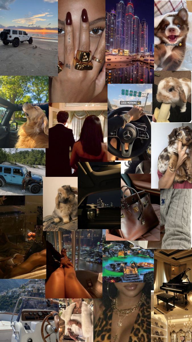 a collage of photos with different people and animals on them, including dogs, cats, cars, and other things