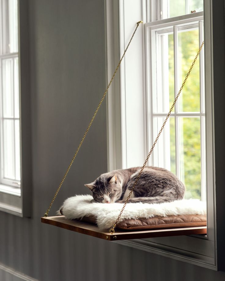 a cat laying on top of a window sill next to a white fluffy rug