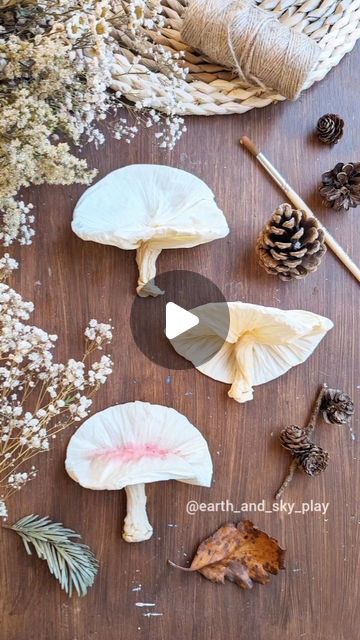 several different types of mushrooms and pine cones on a wooden table with dried flowers, needles and leaves