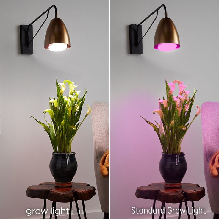 two pictures of flowers in black vases on table next to chair and wall light