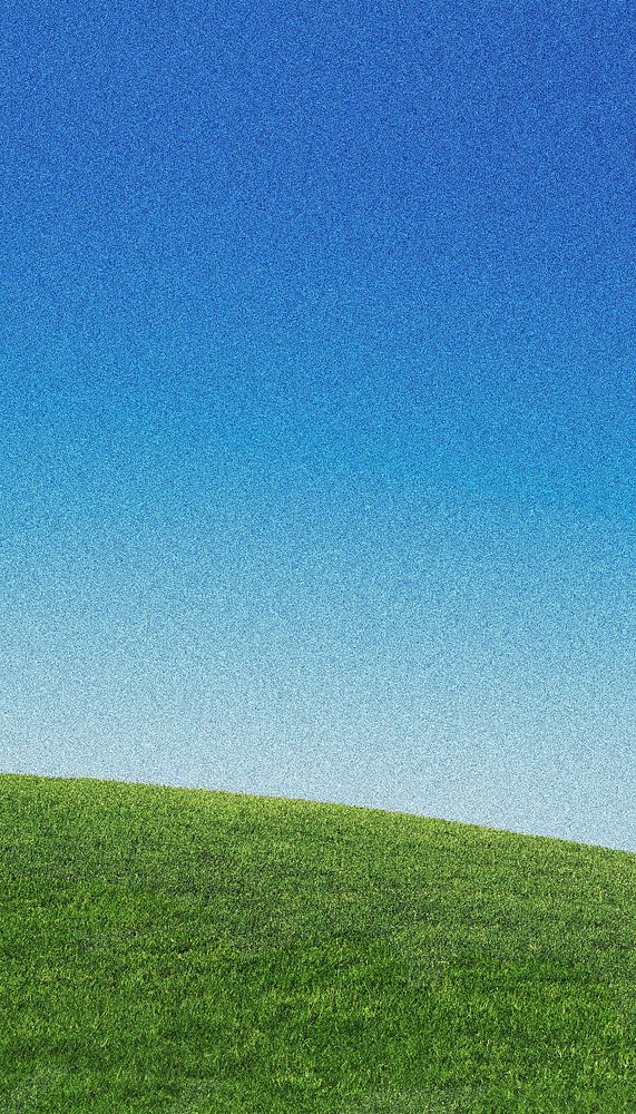 a lone tree in the middle of a grassy hill under a blue sky with no clouds