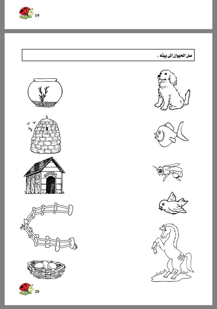 an arabic language worksheet with pictures of animals and their homes in the background