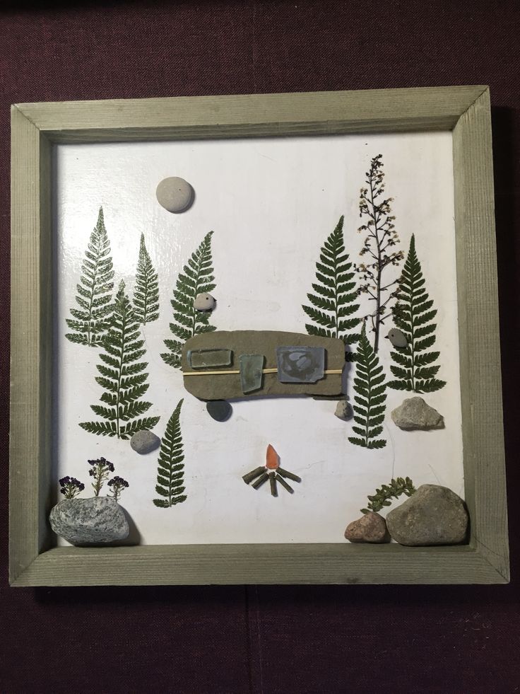 a shadow frame with various plants and rocks in it, including a car on the road