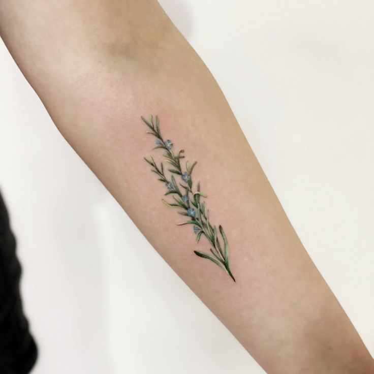 a woman's arm with an olive branch tattoo on it