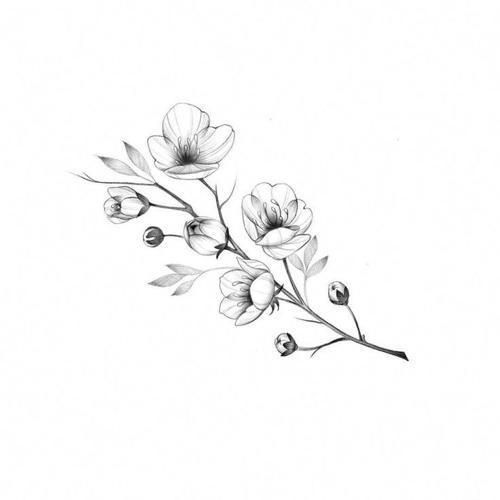 a black and white drawing of some flowers