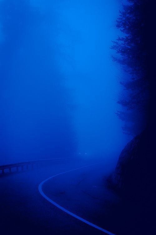 an empty road in the middle of a foggy forest