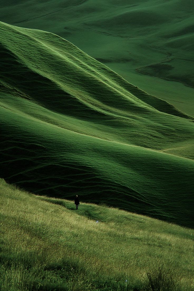 a lone horse is standing in the middle of an open field with green hills behind it