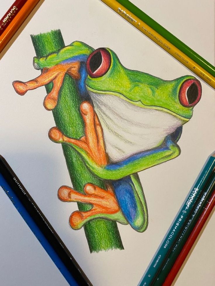 a drawing of a frog on a tree branch with colored pencils next to it