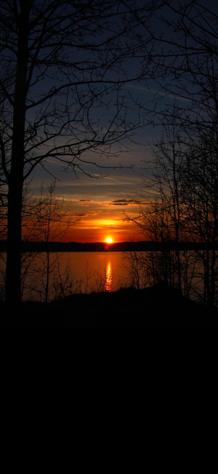 the sun is setting behind some trees by the water's edge with no leaves on them