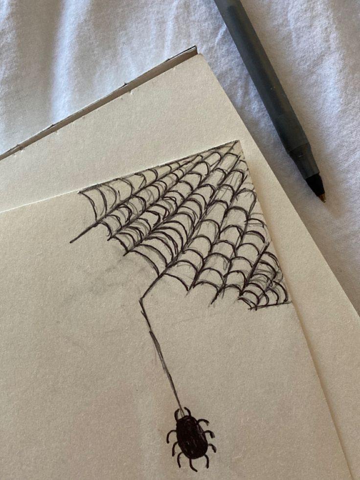 a drawing of a spider on a sheet of paper with a pen next to it