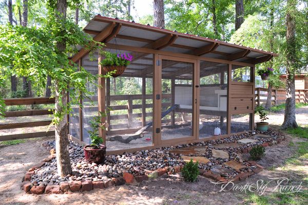 a chicken coop in the middle of a wooded area with rocks and gravel around it