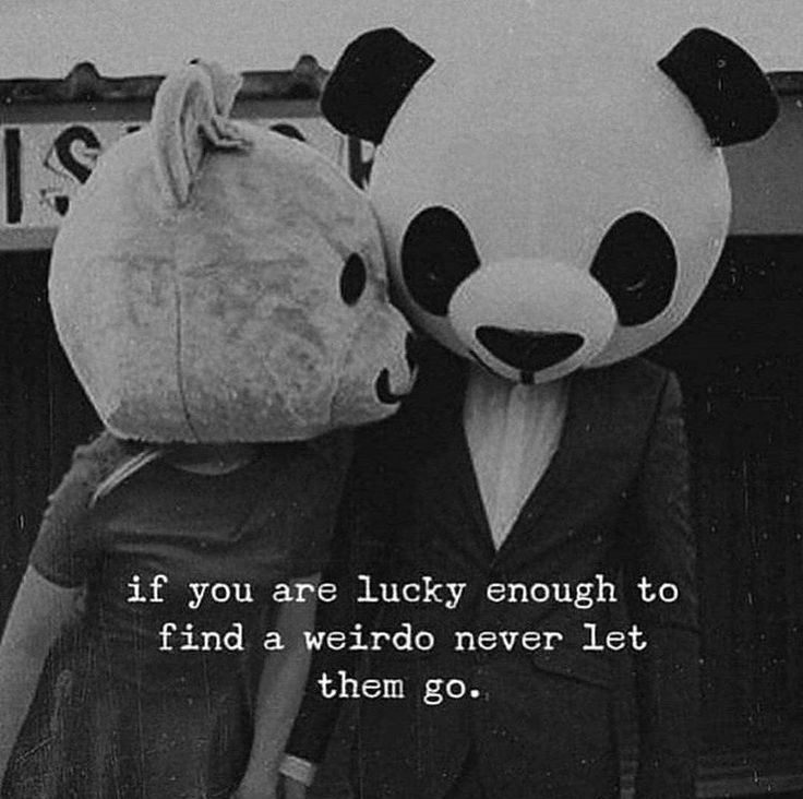 two people dressed in panda suits and holding onto each other's head with the caption if you are lucky enough to find a weird never let them go