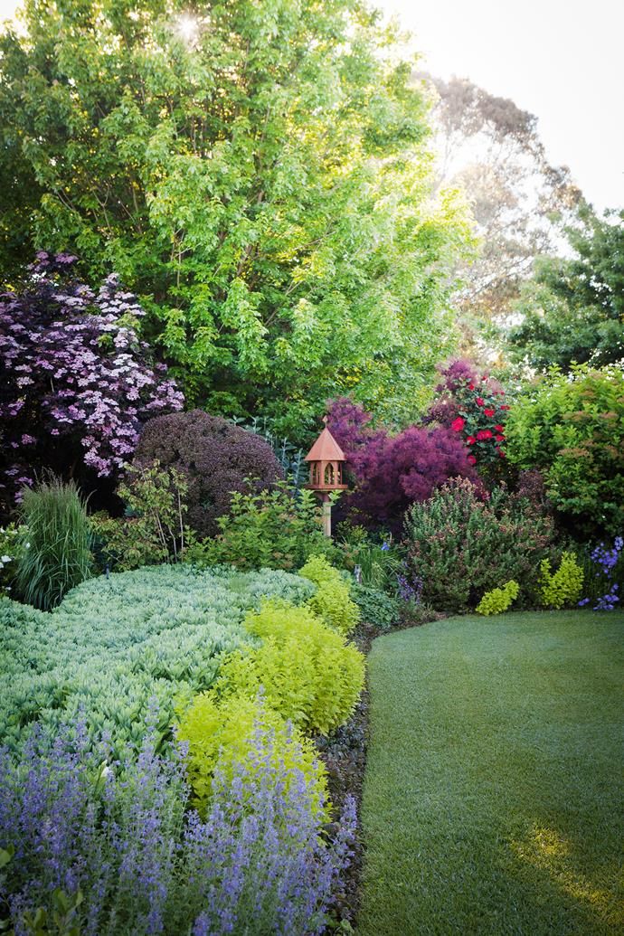 the garden is full of colorful flowers and plants, including purples and green foliage