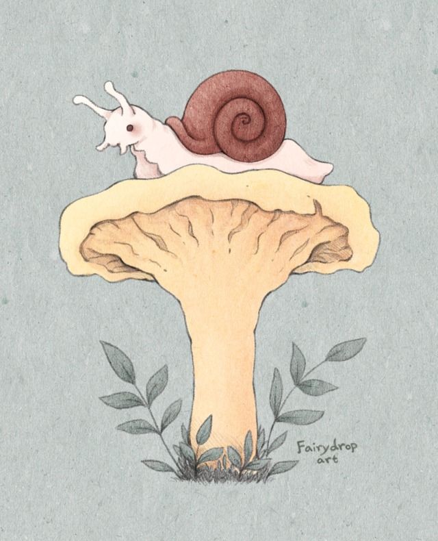 a drawing of a snail on top of a mushroom