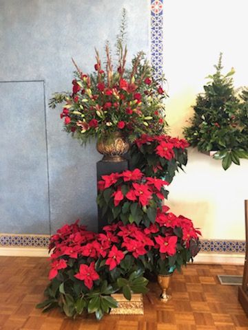 two poinsettia plants sitting on top of each other in front of a mirror