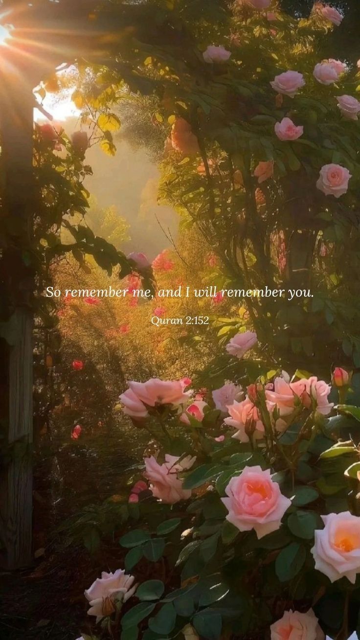 the sun shines brightly behind pink roses in a garden with an inspirational quote on it