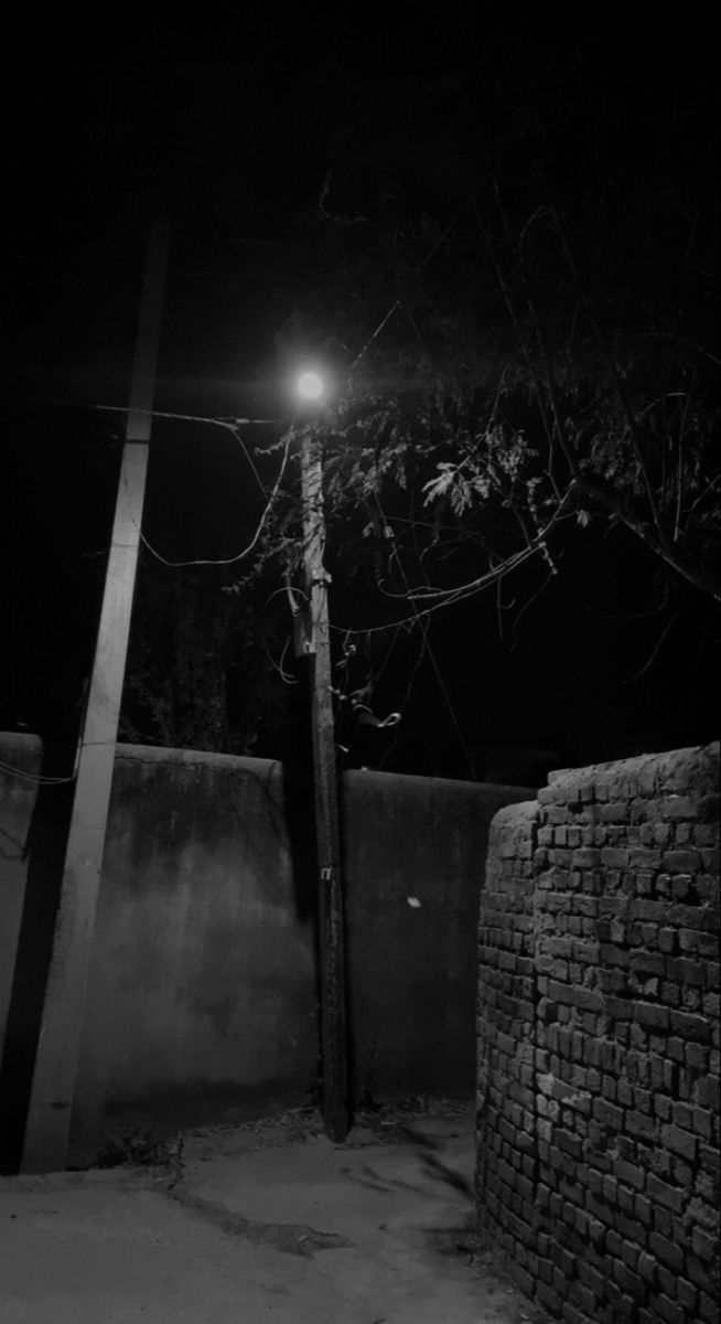 a black and white photo of a street light