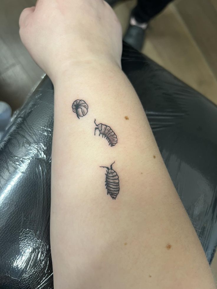 a woman's arm with three seashells tattooed on the left side of her arm