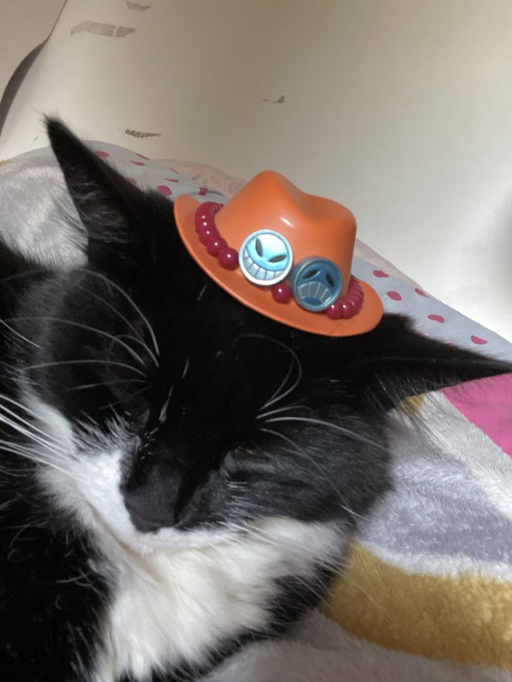 a black and white cat with a hat on it's head laying on a blanket