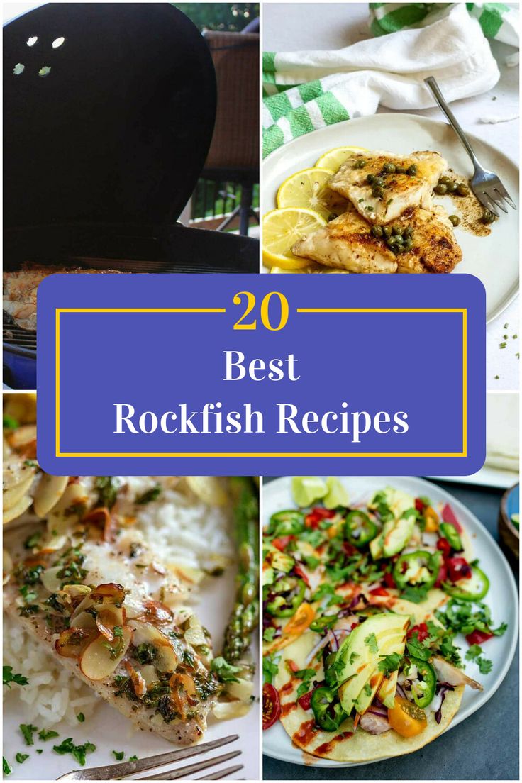 Collage of 4 rockfish recipes. Rockfish Recipes Baked, Baked Rockfish Recipes, Rockfish Recipes, Rock Fish, Alpha Gal, Fish Dinner Recipes, Tuna Fish, Fish Fish, Fish Dinner