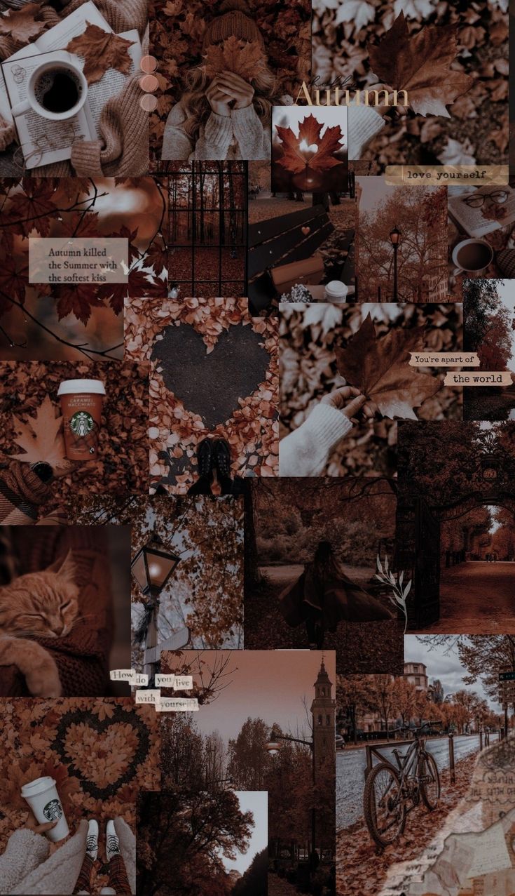 a collage of many different pictures with trees and leaves on them, including a cat