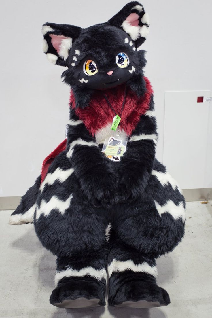 a black and white cat sitting on the ground