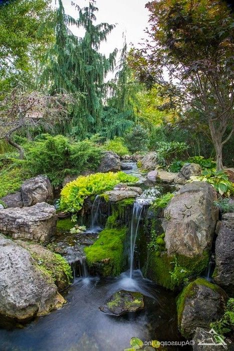 a small waterfall in the middle of a lush green forest filled with rocks and trees